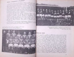 Fradi - The football team of Ferencvaros TC (Hungary)