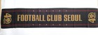 40th Anniversary of FC Seoul 1983-2023 scarf (official product)