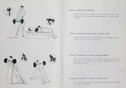 The Power, Efficiency and Beauty (Body Building)