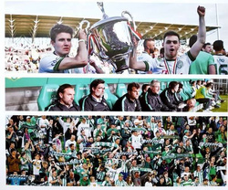 Ferencvaros TC Annual 2016 + DVD film