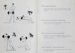 The Power, Efficiency and Beauty (Body Building)