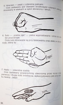 The Legend of Budo. Eastern Martial Arts