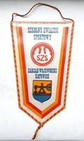 Katowice Provincial Board of School Sports Association pennant