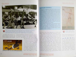 Handball. History Rules Training