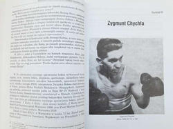 My classification of the best Polish boxers. Part I - Overall ranking