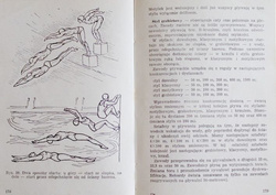 How to be a champion