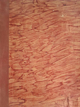 Sportowiec Illustrated Magaizne - Year 1953 (41 issues)