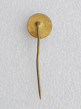 TJ TZ Trinec ice hockey club badge (epoxy)