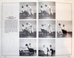 Keijtsukai Aikido. Japanese Art of Self-Defense