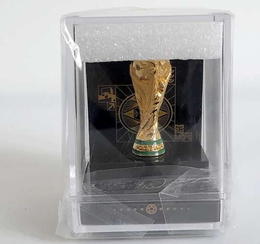 FIFA World Cup Qatar 2022 Trophy Replica in Display Case Official Licensed Product)