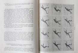 On the alpine and cross-county skis