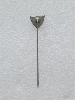 Football Association of the State of Pernambuco crest badge (Brazil, enamel)