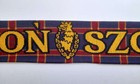Pogon Szczecin scarf (official product)