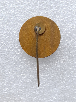 Lithuania Ice Hockey Associaiton old badge (enamel)