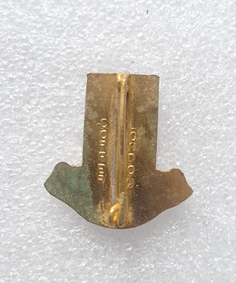 Stoke City crest old badge (enamel, signature)