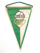 Raba ETO Gyori old pennant