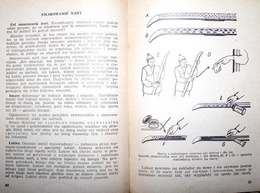 The Handbook of tourist skier (1953)