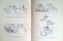 Horse jumping lessons