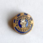 KS Stal Stocznia Szczecin golden plated badge (enamel)