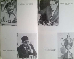 Chess deceptions and trivia