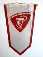 Sporto Klubas Medikas Kaunas old pennant