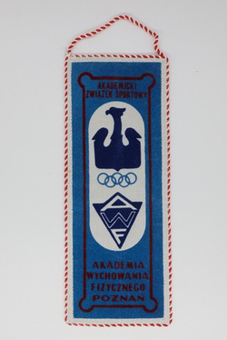 AZS AWF Poznan pennant (official product)