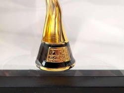 FIFA Women's World Cup AU NZ 2023 miniature trophy replica in display frame (Official Licensed Product) 7 cm