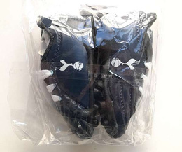 Tottenham Hotspur FC boots car hanger (official product)