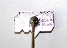 HV71 Jönköping (ice hockey, with signature)