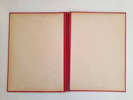 Case for documents and letters of GKS Katowice