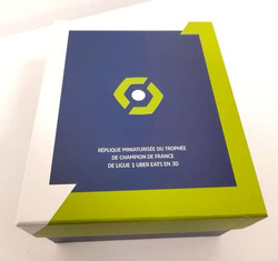 French Ligue 1 Championship trophy 3D big replica, 19,5 cm (LFP official product)