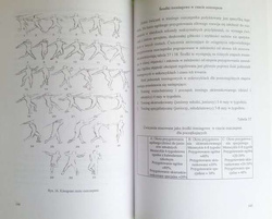 Athletics. Handbook for students, teachers and trainers (Volume II)