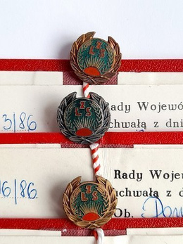 LZS Sieradz Honours Badges - golden, silver, bronze (with cards)