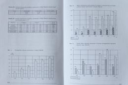 The Football Hooligans