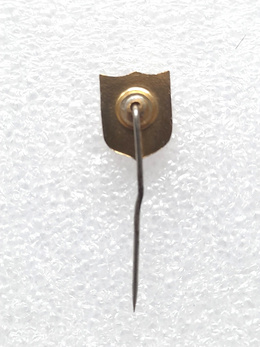  FK Sarajewo badge (epoxy)