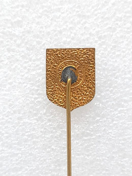 NK Dinamo Vinkovci badge (epoxy, signature)