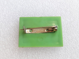 World & European Ice Hockey Championships Katowice 1976 badge (plastic)