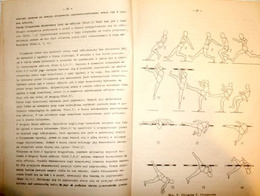 High jump (Polish Athletic Association)