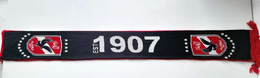 Al Ahly Cairo (Egypt) scarf