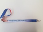 TS Podbeskidzie Bielsko-Biała key lanyard (official product)