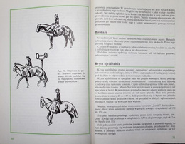 Horse riding for beginners
