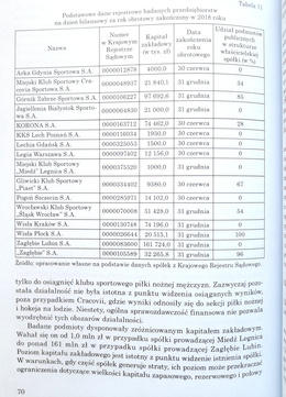 Economic efficiency of Ekstraklasa football clubs