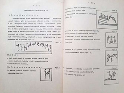 Artistic gymnastics and sports acrobatics in the program of extracurricular activities of the contemporary school