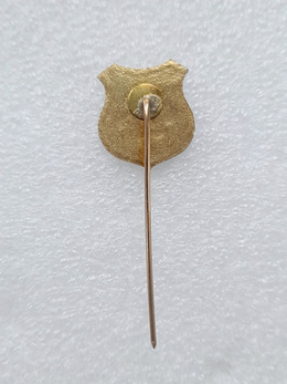 AE Goianesia crest badge (Brazil, enamel)