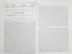Time structure of information processes in selected combat sports