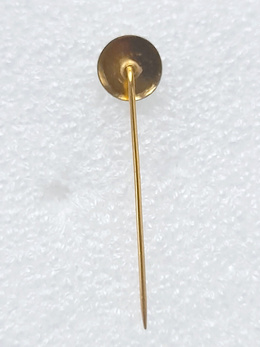 SE Palmeiras crest small badge (Brazil, lacquer)