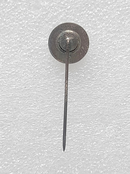 Hannover 96 round badge with flag (epoxy)