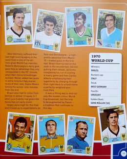 Panini Football Stickers. The Official Celebration