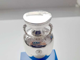 Replica of the trophy of the UEFA Euro 2024 Germany, 13,5 cm (Official Licensed Product)