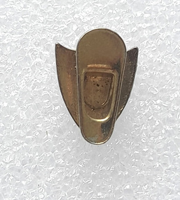 Malaga CF crest badge (lacquer)